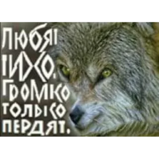 😎