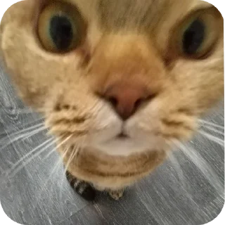 ❤