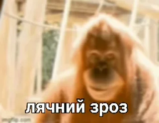 😱