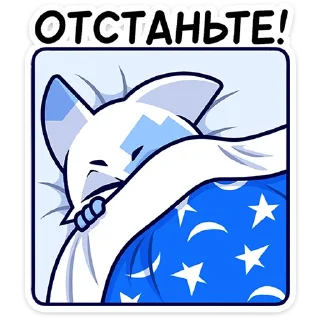 🐱