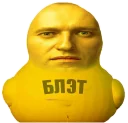🐥
