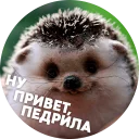 🦔 Hedgehog memes @lennysticker