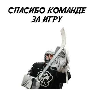 👏