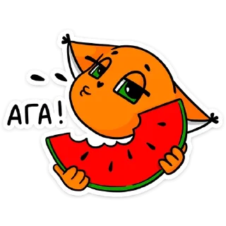 🍉