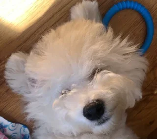 ☺️