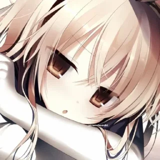 🐈