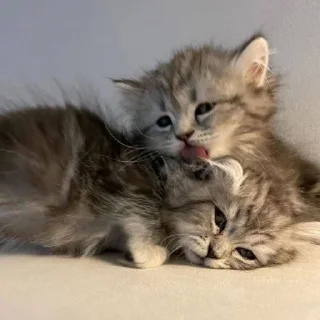 ❤️