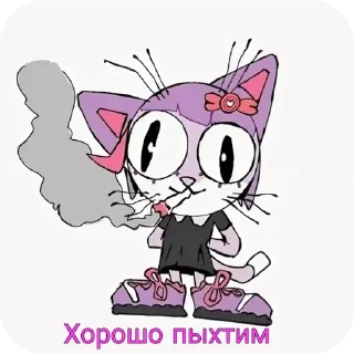 🐱
