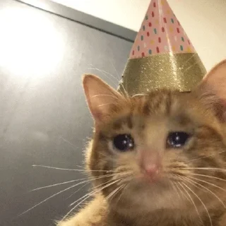 😭