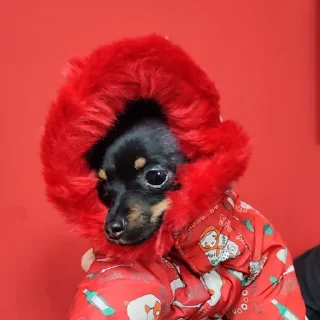 🥶