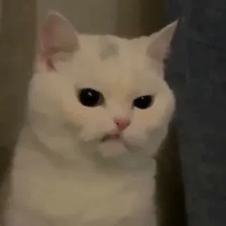 🤨