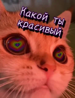 😍