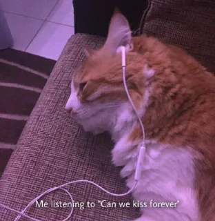 🎧