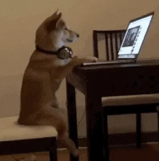 💻