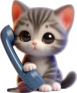 📞