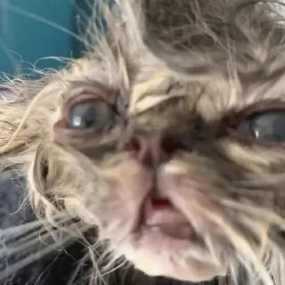 😵