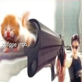 😺