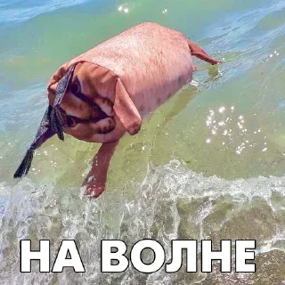 🌊