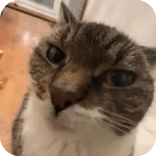 👍