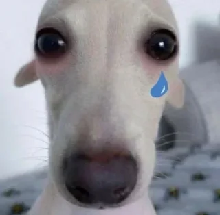 😢
