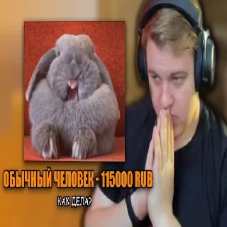 🐰