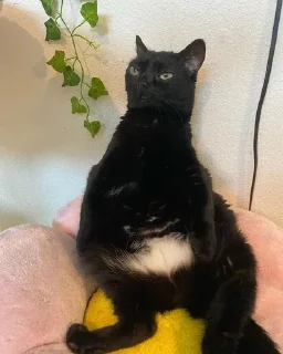 😠