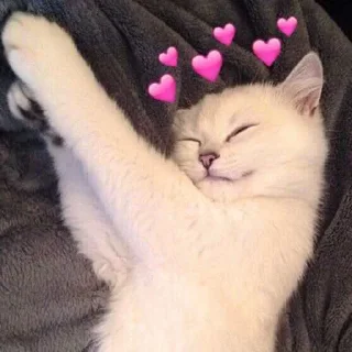😴