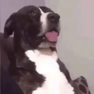 🤨