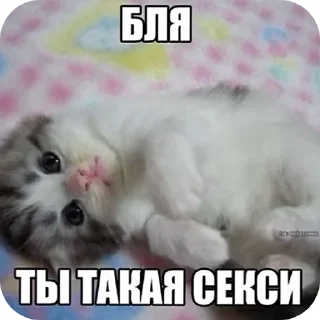 👍