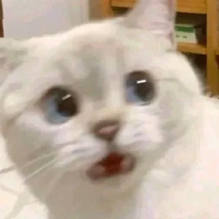 😯