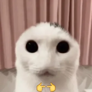 ☃️