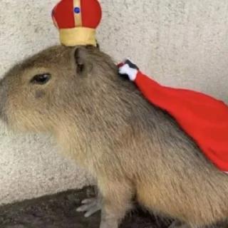 🤴
