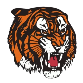 🐯