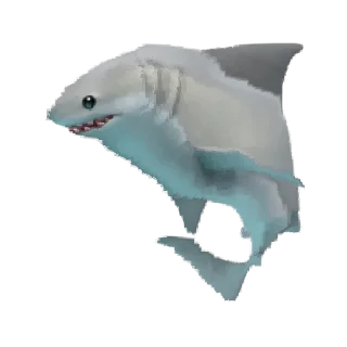 🦈