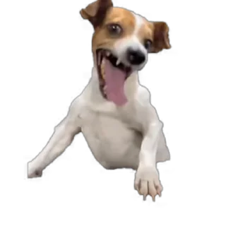 😄