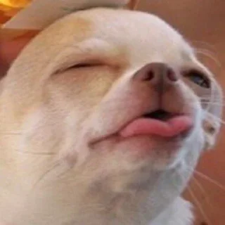 👅