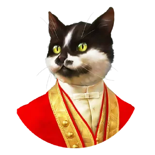 😾