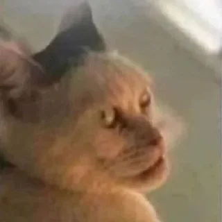 🤯