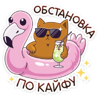 😎
