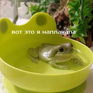 😭