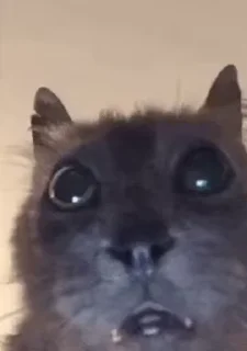 🤨