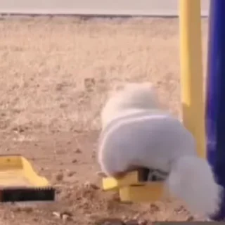 😞