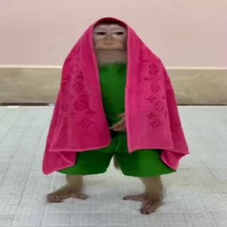 🤧