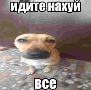🥱