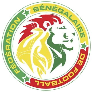 🇸🇳