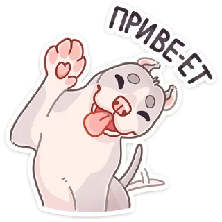 👋