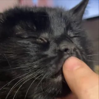 🙂