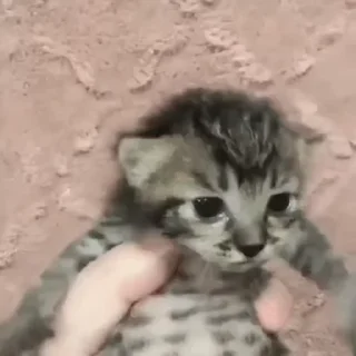 🥹