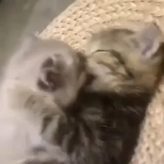 😘