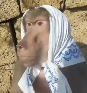 😒